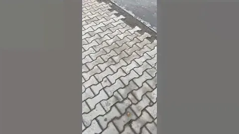 Мегион, поплыли?